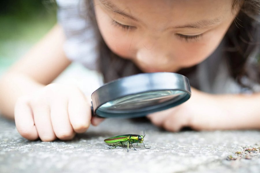 How to Encourage the Spirit of Curiosity in Children?